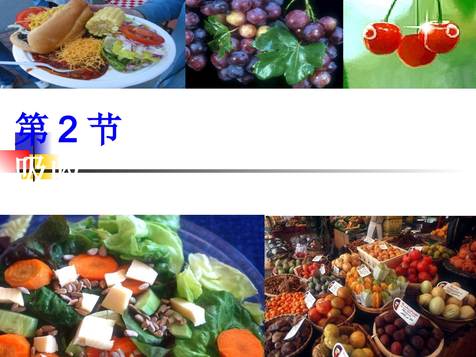 食物的消化与吸收_第1页