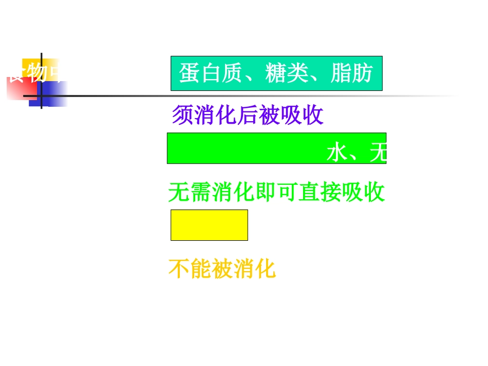 食物的消化与吸收_第2页