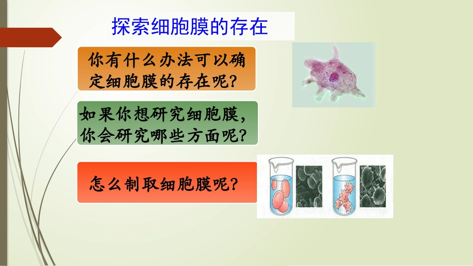 细胞膜结构的探究_第2页