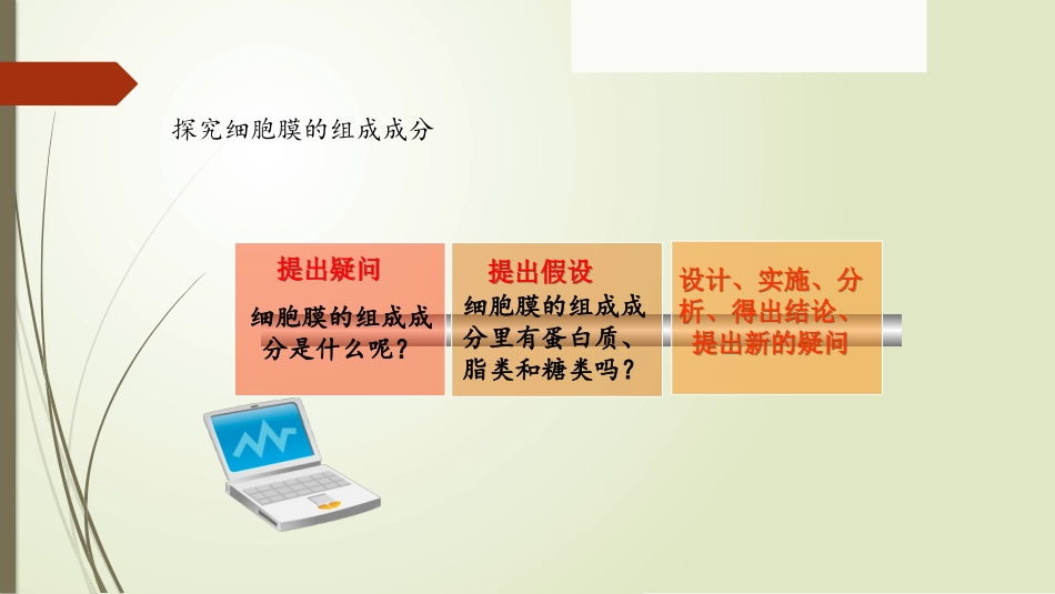细胞膜结构的探究_第3页