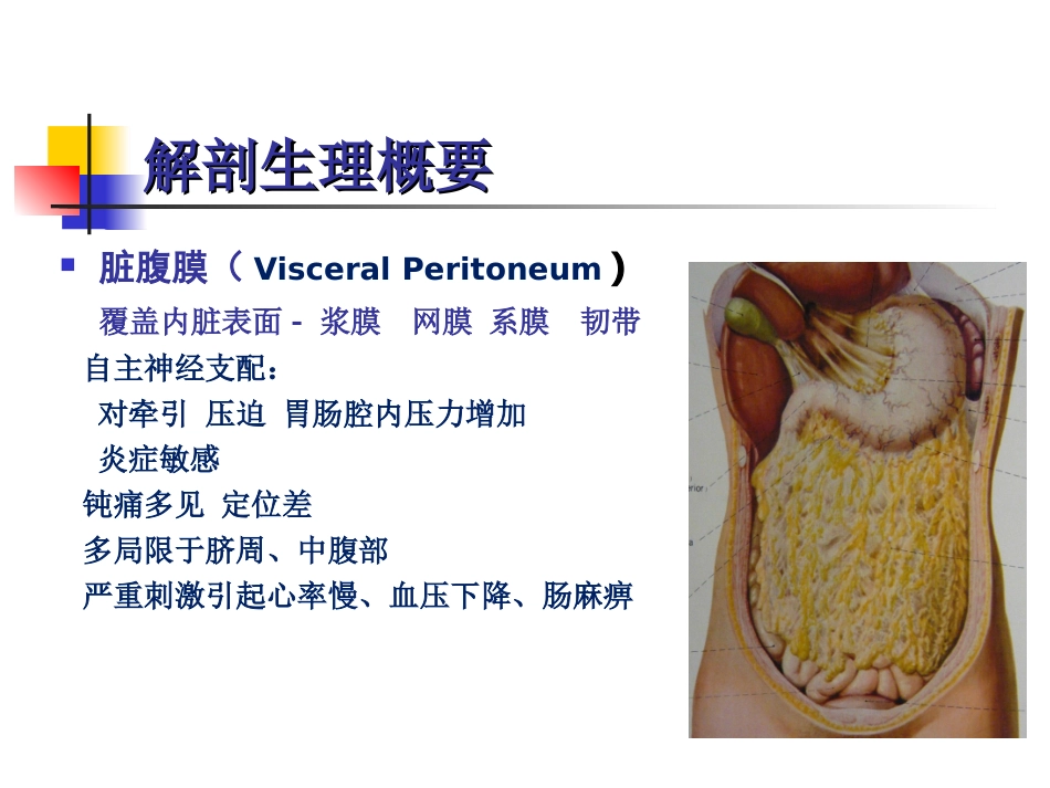 急性化脓性腹膜炎-151124_第3页