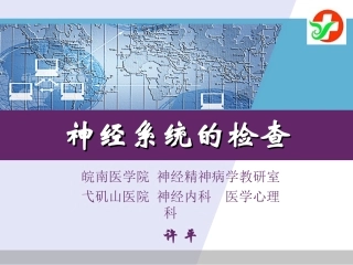 神经系统检查
