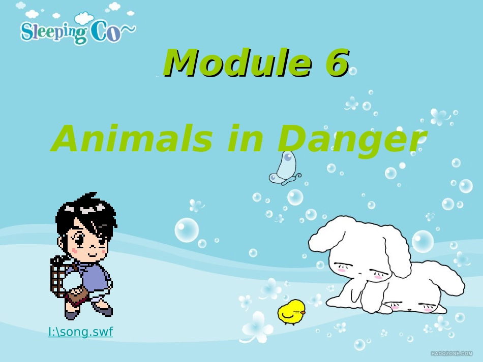module6 animals in danger_第1页