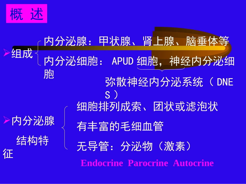 内分泌系统正稿_第2页