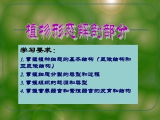 大学植物学1细胞
