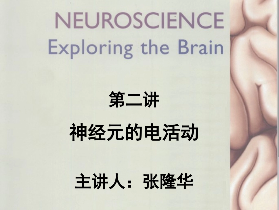 神经元的电活动_第1页