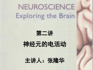 神经元的电活动