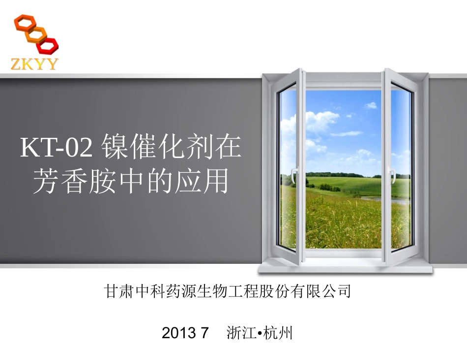 催化剂会议-甘肃中科药源_第1页