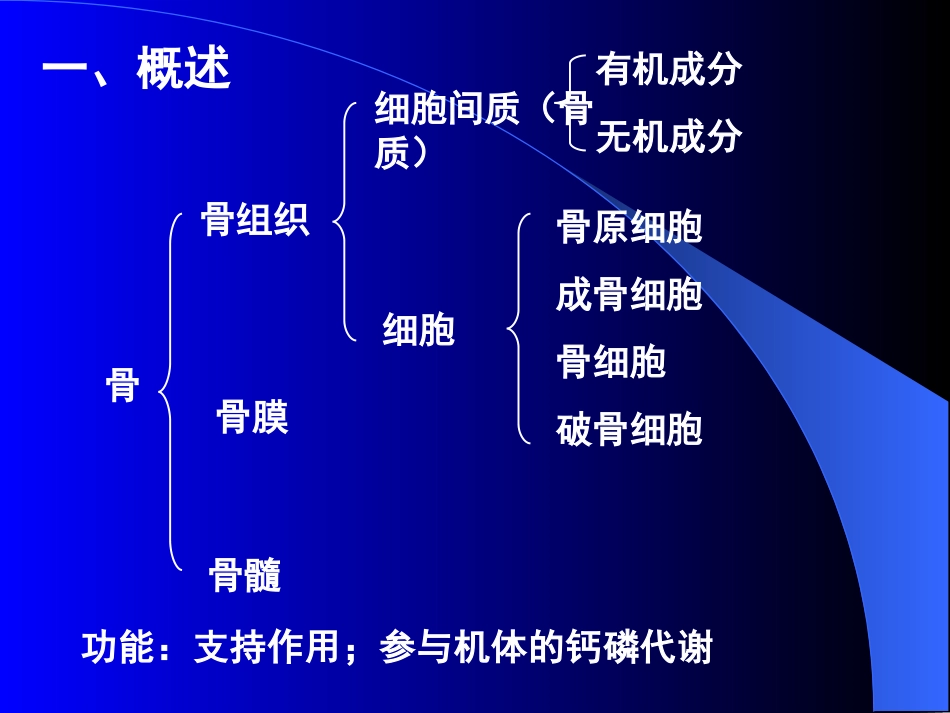 软骨-骨--组织学与胚胎学_第2页