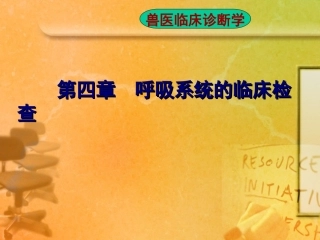 呼吸系统的临床检查
