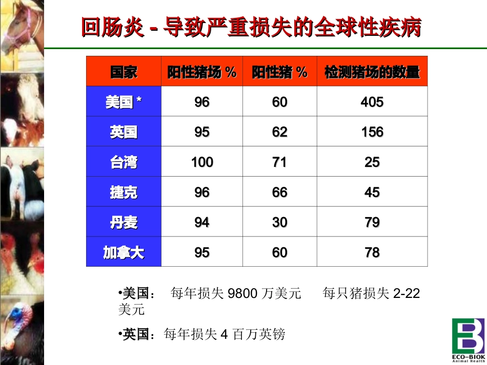 猪回肠炎---猪回肠炎简介_第3页