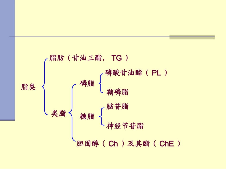 第七章 脂代谢_第3页