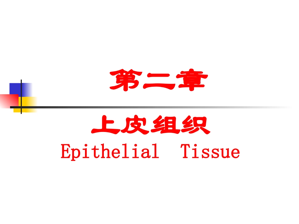 第2章：上皮组织_第2页