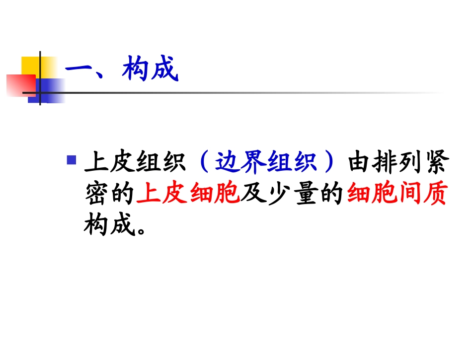 第2章：上皮组织_第3页