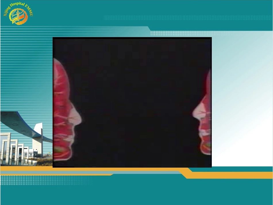 颅神经疾病.PPT(2009.3.1)_第1页