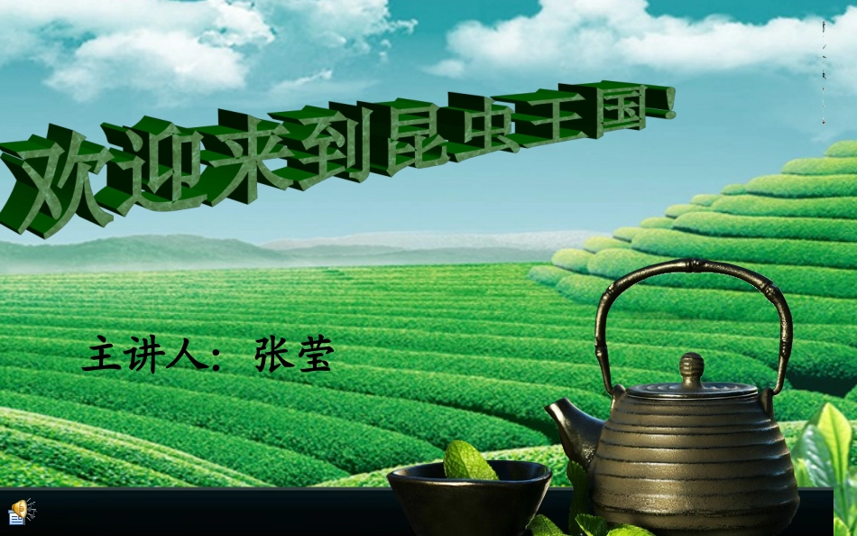 鞘翅目 zoo_第1页