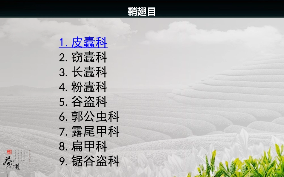鞘翅目 zoo_第2页
