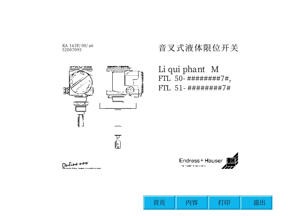 E+H 音叉开关_第1页