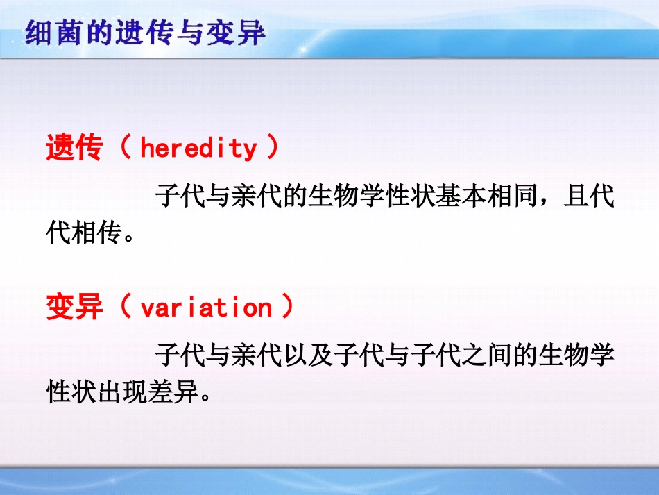 细菌的遗传与变异2012_第3页