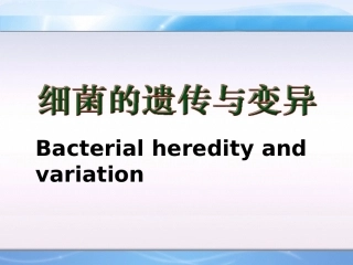 细菌的遗传与变异2012