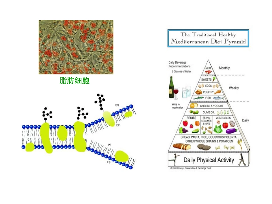 化工-脂类应用_第3页