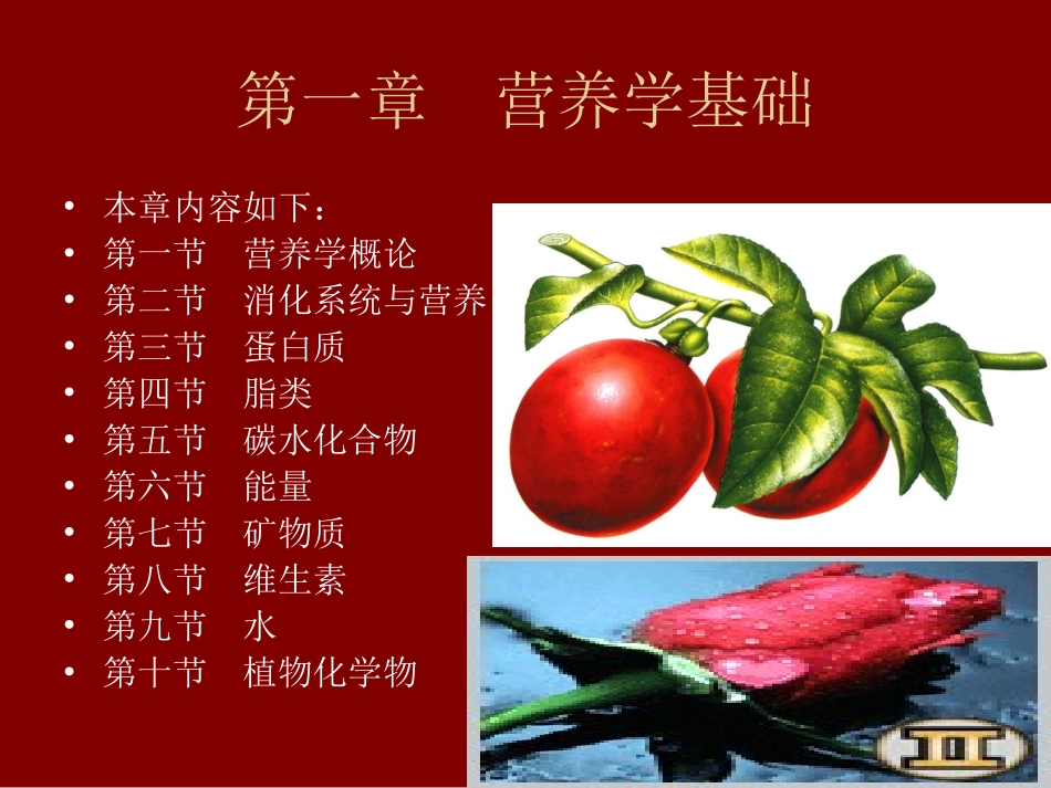 消化系统与营养_第2页