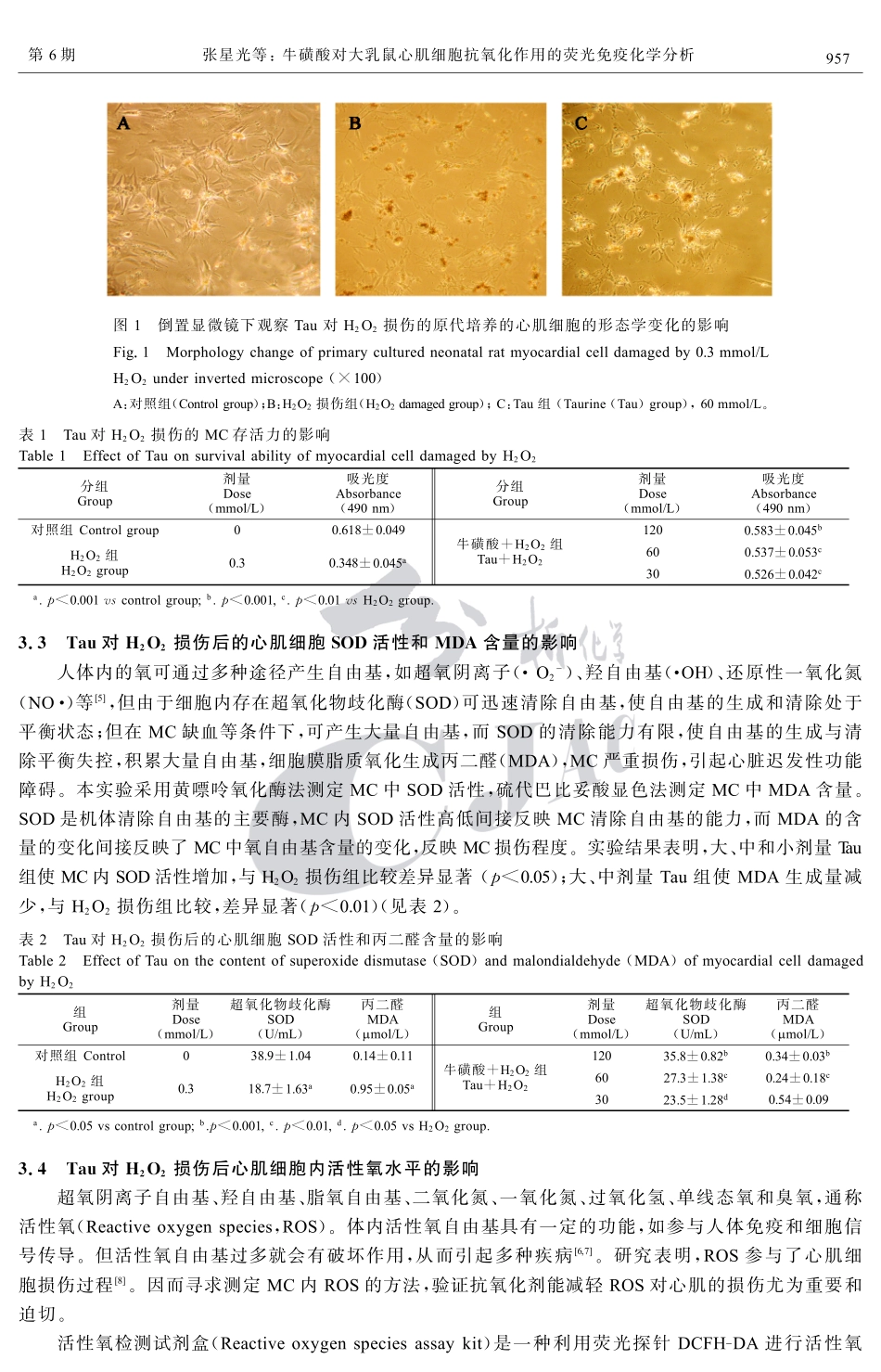 正丁醇萃取-原子荧光光谱法间接测定茶叶中的钼_第3页