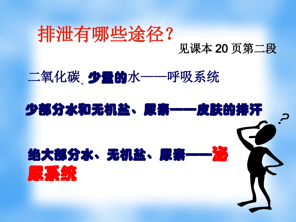人体内废物的排出——泌尿系统的组成_第3页