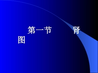泌尿系统2010五年制