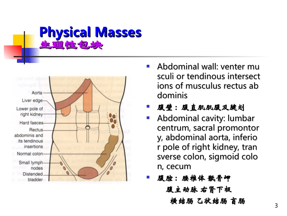 J腹部检查B_第3页
