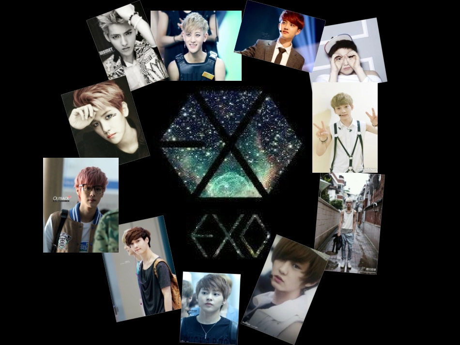 EXO人物介绍篇_第2页