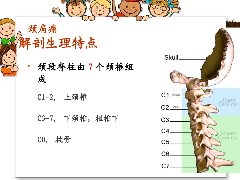 课件颈肩痛病人的护理_第3页