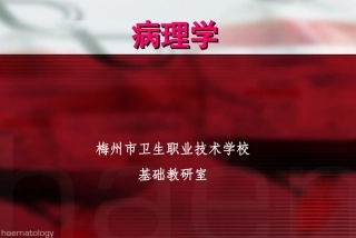 局部循环障碍2