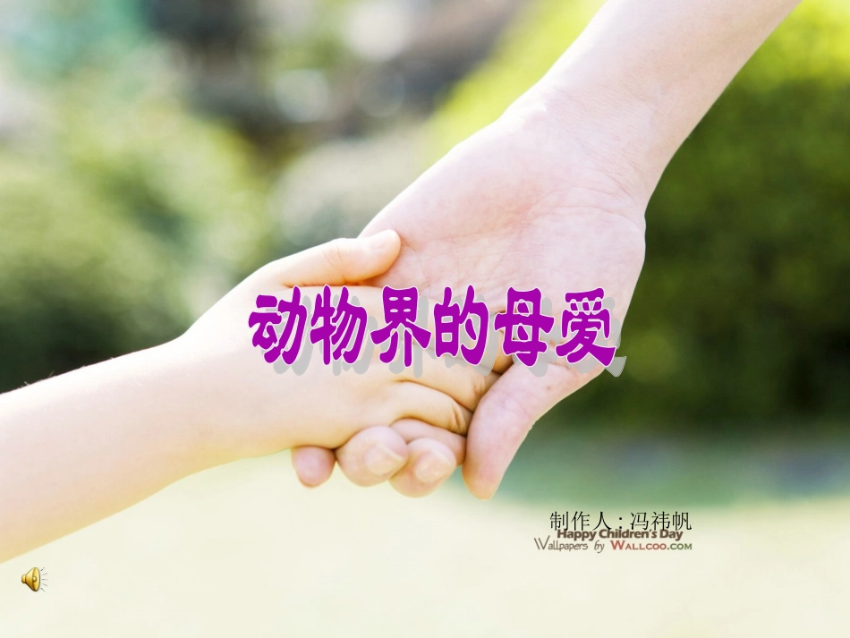 动物界的母爱_第1页