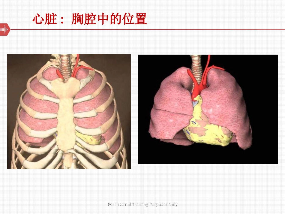冠状动脉粥样硬化性心脏病基础知识_第3页