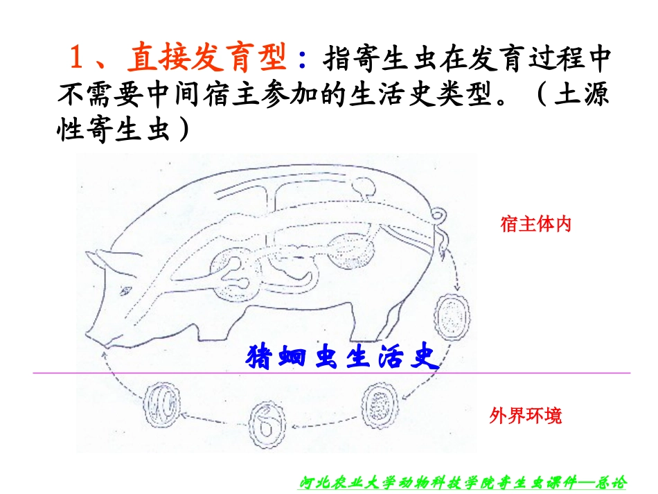课件总论 - 河北农业大学_第2页