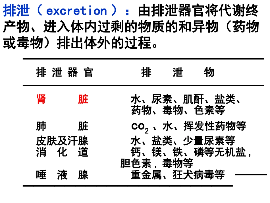 尿生成和排出_第3页
