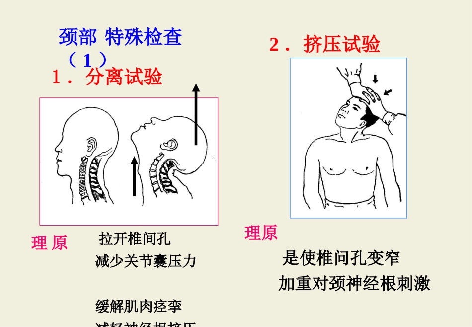实训骨伤科特殊检查法与神经、x线()_第2页