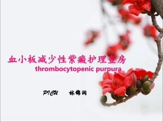 血小板减少性紫癜查房