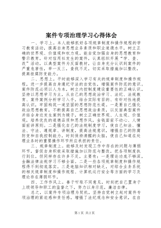 案件专项治理学习心得体会