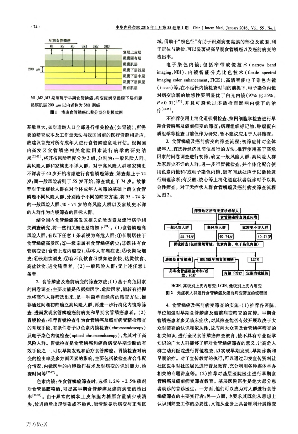 中国早期食管鳞状细胞癌及癌前病变筛查与诊治共识(2015年·北京)_第2页