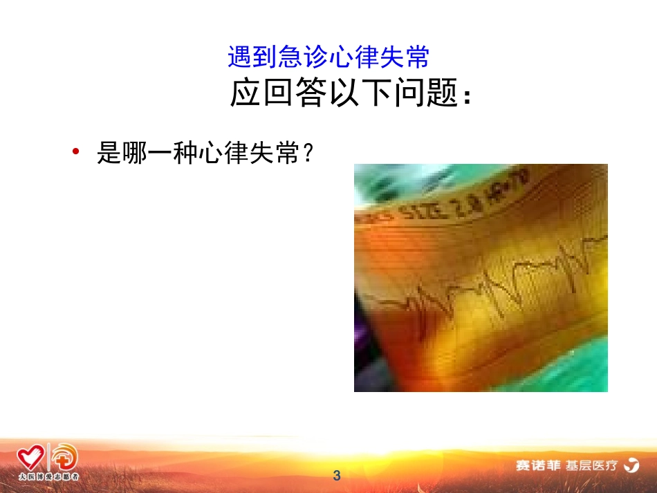 急性心律失常的处理_第3页