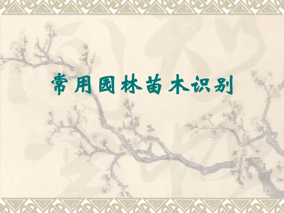 常用园林苗木识别_第1页