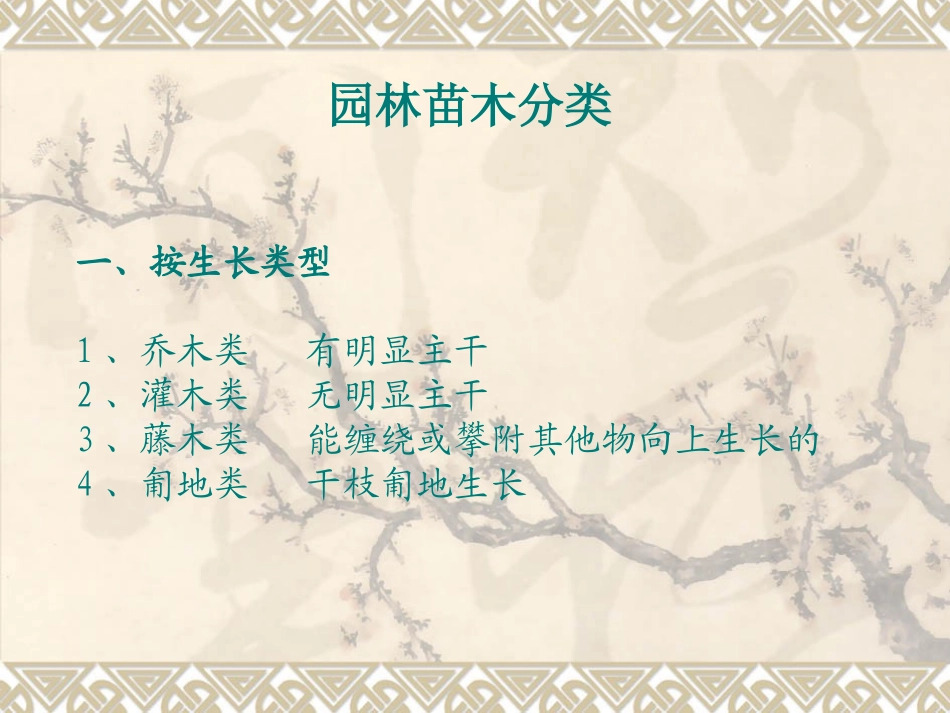 常用园林苗木识别_第2页