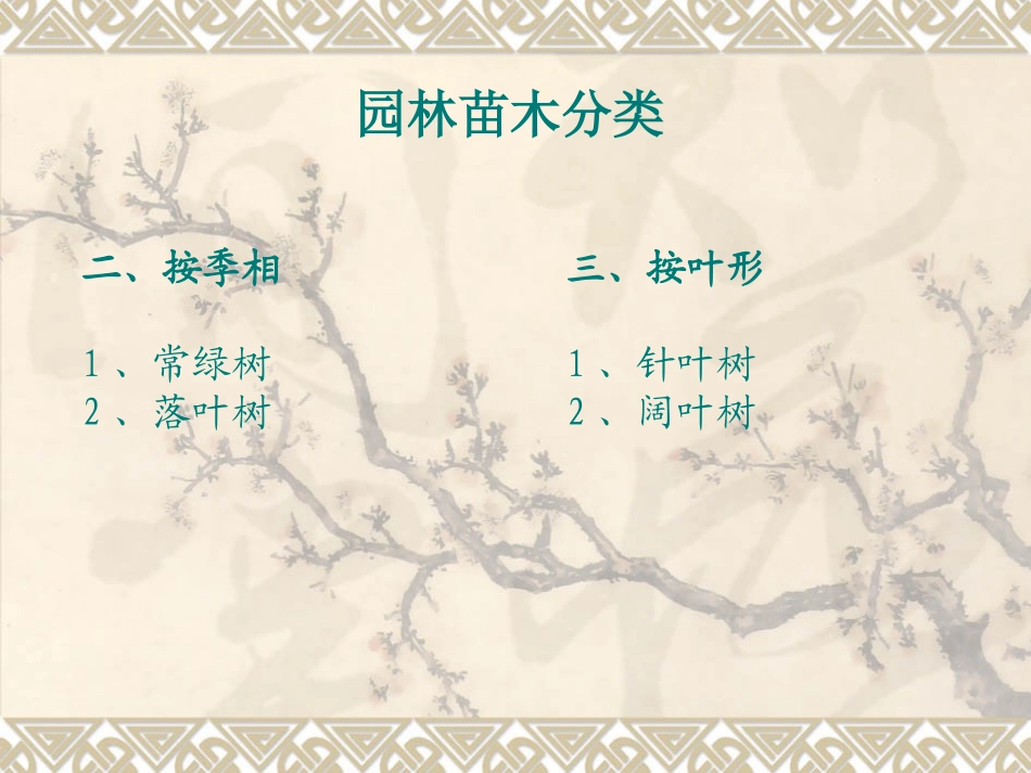 常用园林苗木识别_第3页