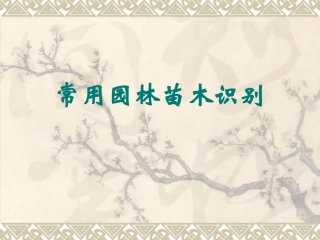 常用园林苗木识别