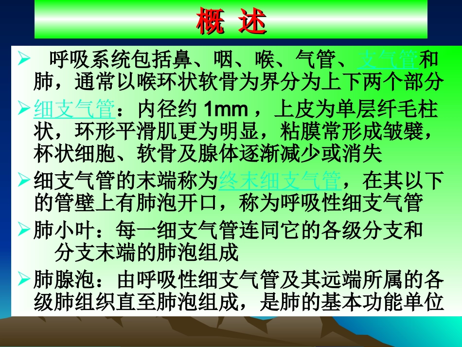 第六章 呼吸_第2页