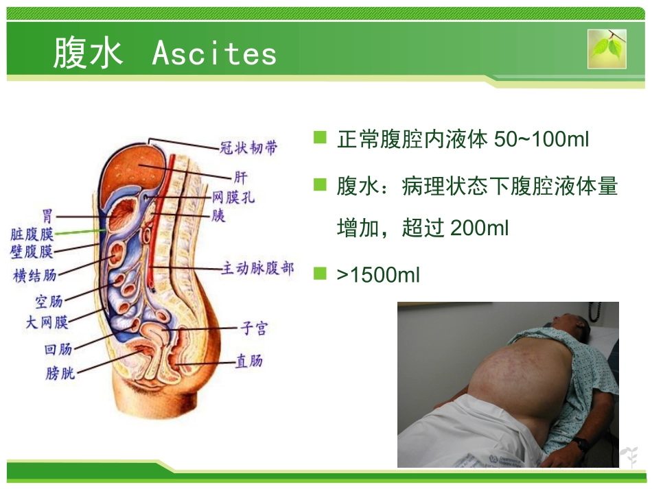 腹部病症分析-高文_第3页