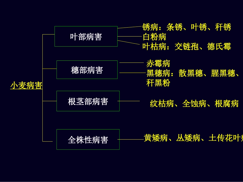 小麦病虫害防治技术_第3页