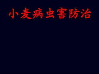 小麦病虫害防治技术